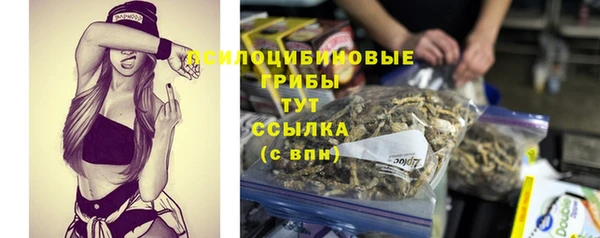 таблы Алзамай
