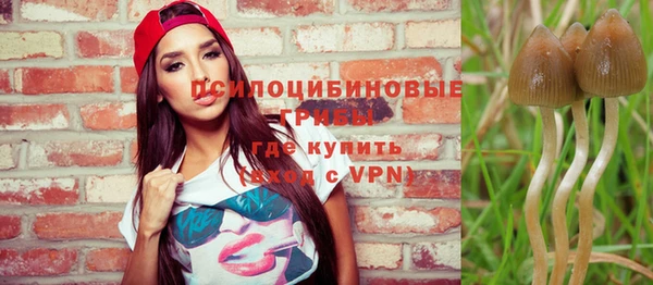 таблы Алзамай