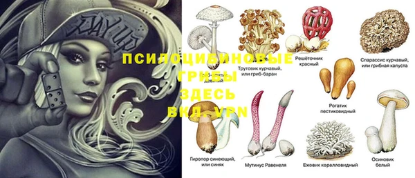 таблы Алзамай